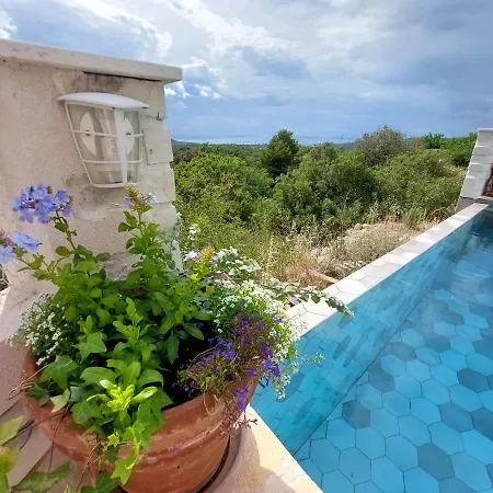 Villa Mediterranea - Primosten Šaričevi
