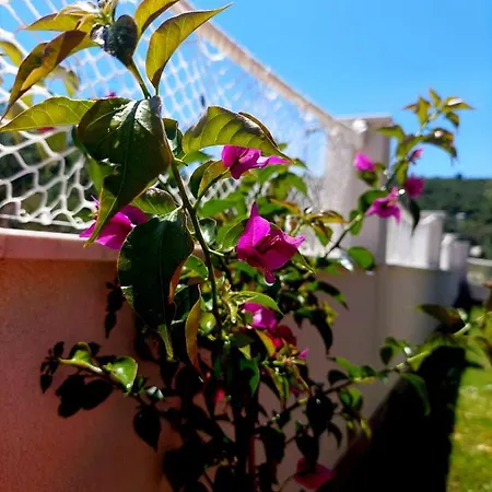 Mediterranea - Primosten Villa *